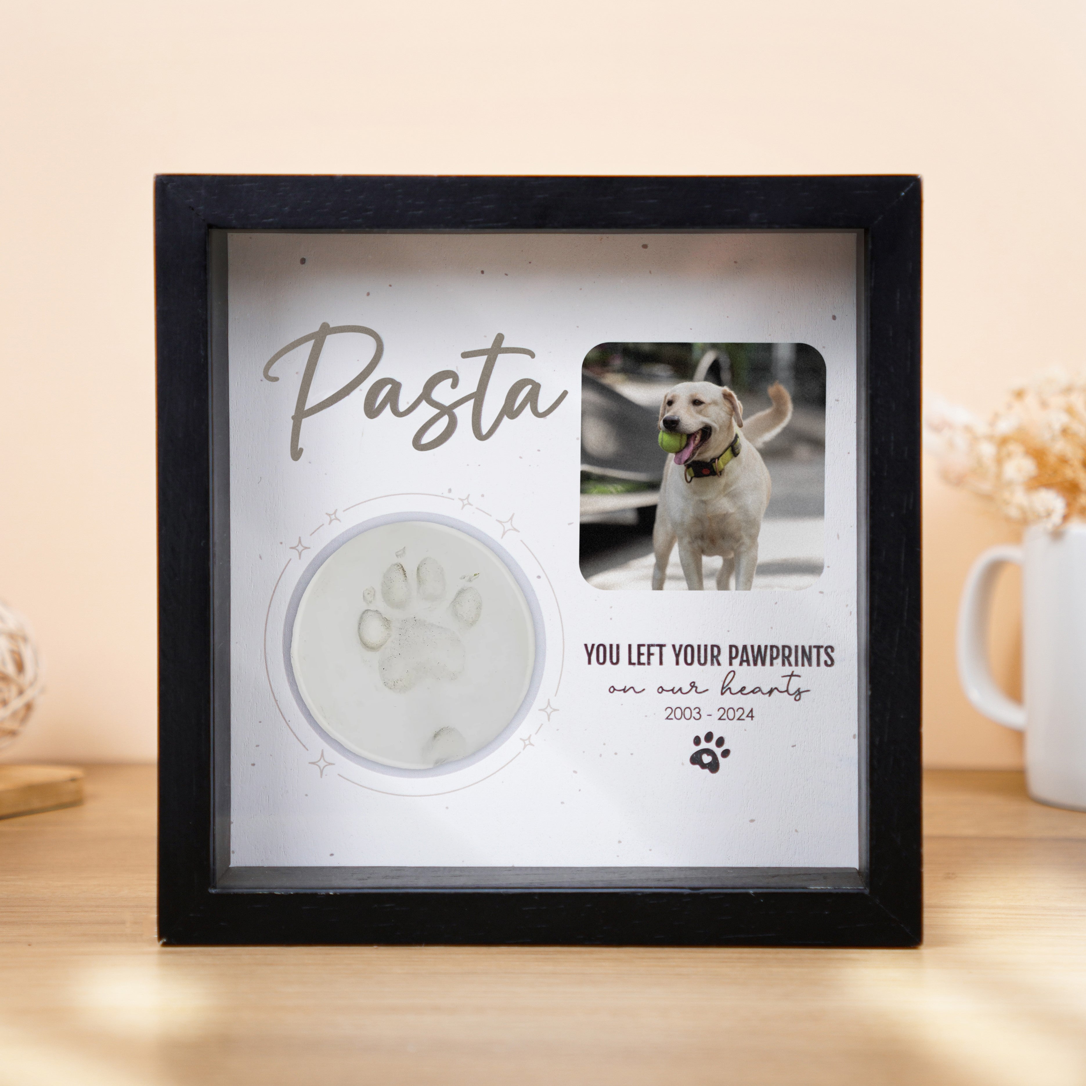 Shadow Box Picture Frame for Pet