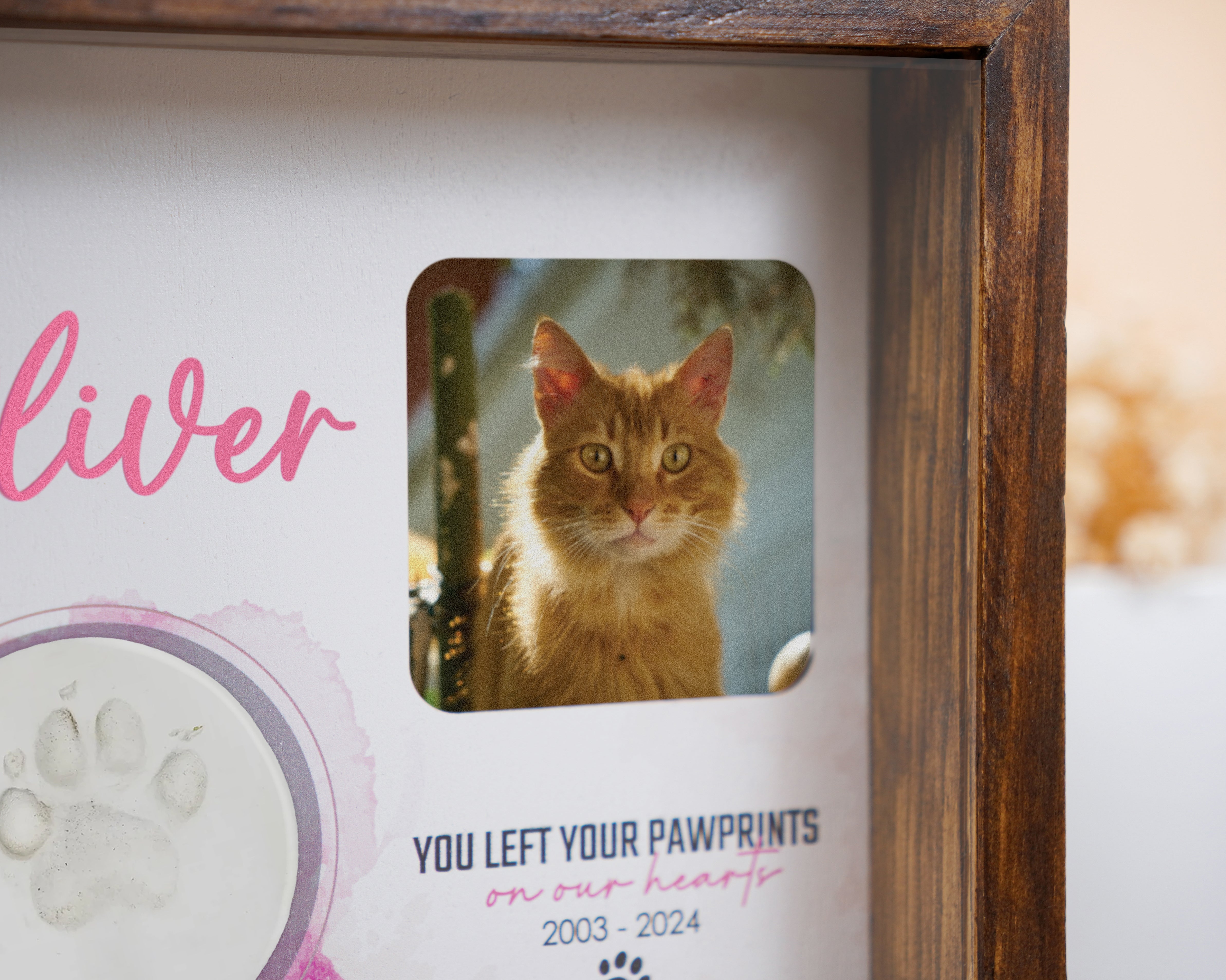 Pet Picture Frame Shadow Box