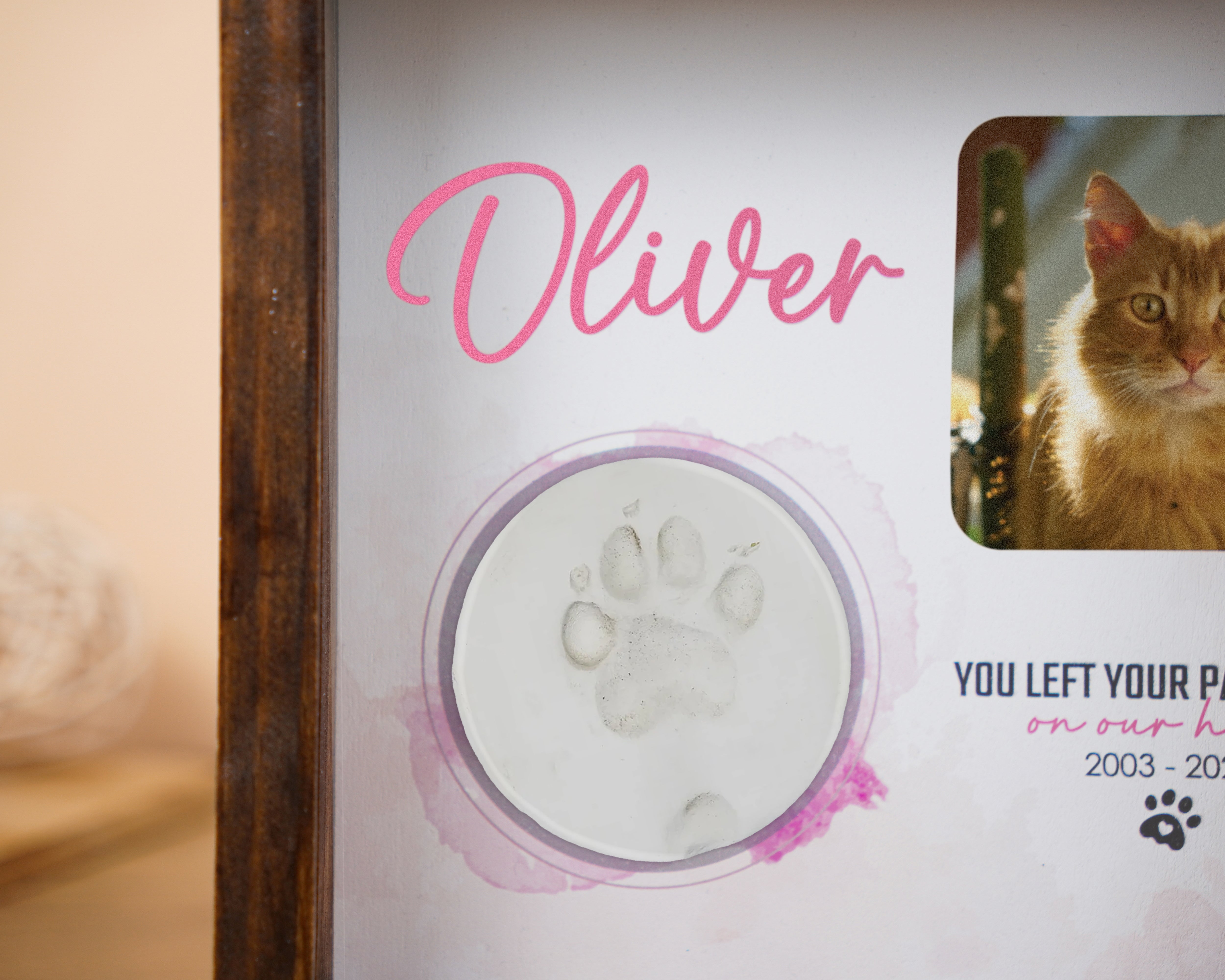 Pet Picture Frame Shadow Box